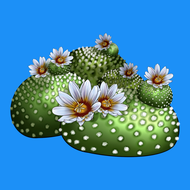 Blossfeldia Cactus Classic Tee by LillyAllenDesigns | Teevron