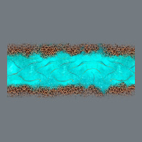 Turquoise Leopard Heavyweight Sweatshirt | Teevron