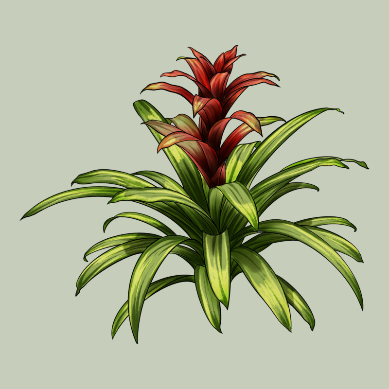 Bromeliads Classic Tee by LillyAllenDesigns | Teevron