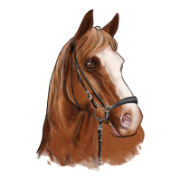 horse portrait | Teevron
