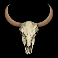 Bull Skull Long Sleeve Tee | Teevron