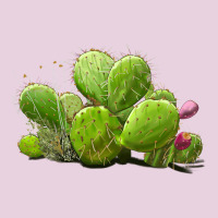 Desert Prickly Pear Cactus Classic Tee | Teevron