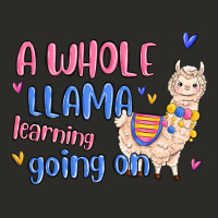 A Whole Llama Learning Going On Heavy Core Tee | Teevron