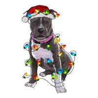 Pitbull With Christmas Lights | Teevron
