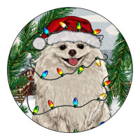 Pomeranian And Farm | Teevron