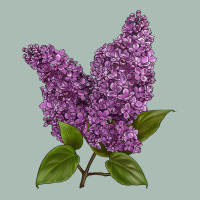Purple Lilac Flower Classic Tee | Teevron