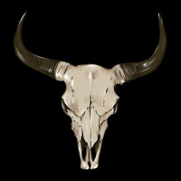 Cow Skul Zipper Hoodie | Teevron