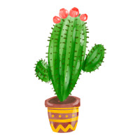 mexican cactus | Teevron