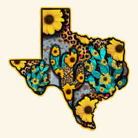 Western Texas Map Premium Hoodie | Teevron