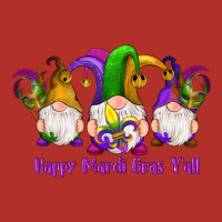 Happy Mardi Gras Y'all Gnomes Premium Hoodie | Teevron