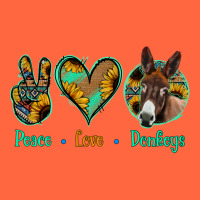 Peace Love Donkeys Premium Hoodie | Teevron