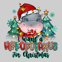 I Want A Hippopotamus For Christmas Premium Sweatshirt | Teevron