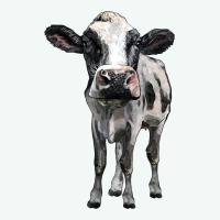 Holstein Cow Premium Hoodie | Teevron