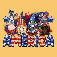 America Gnomes 4th Of July Vintage Hoodie | Teevron