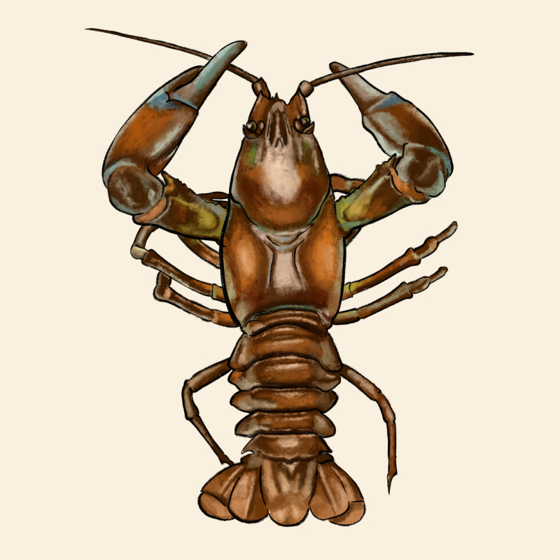 Crawfish Vintage Hoodie by FaDigitalArtStudio | Teevron