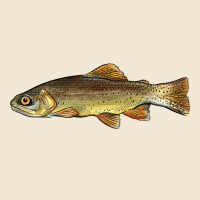 Arizona Apache Trout Fish Premium Tee | Teevron