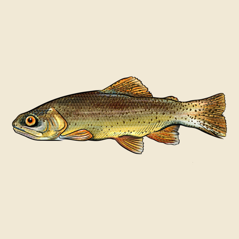 Arizona Apache Trout Fish Premium Tee by BarkalooDesign | Teevron