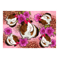 Guinea pig flowers | Teevron