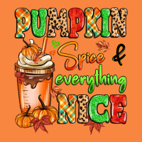 Pumpkin Spice And Everything Nice Premium Sweatshirt | Teevron
