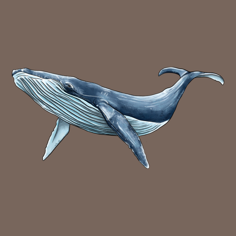 Humpback Whale Premium Hoodie by BarkalooDesign | Teevron