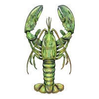lobster | Teevron