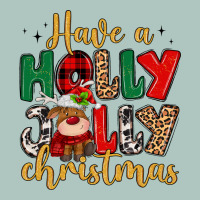 Have A Holly Jolly Christmas Premium Sweatshirt | Teevron