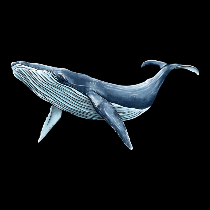 Humpback Whale Premium Tee by BarkalooDesign | Teevron
