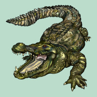 Alligator Premium Hoodie | Teevron