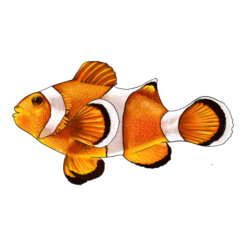 Clown Fish Side Premium Tee by BarkalooDesign | Teevron