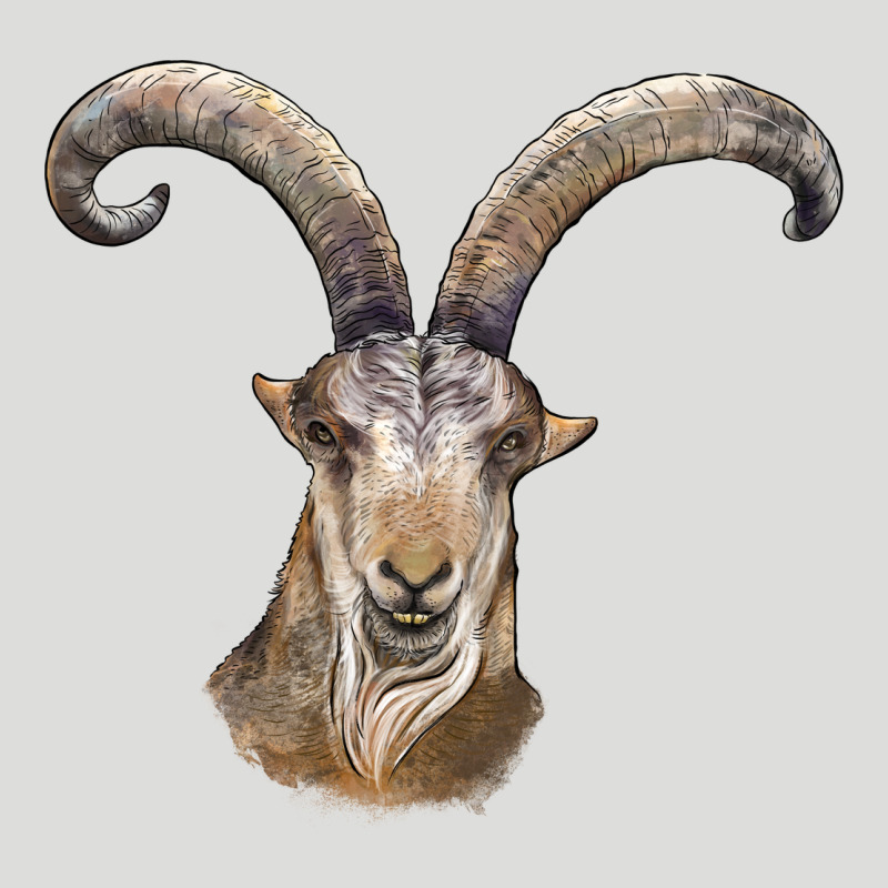 Spanish Goat Face Zipper Hoodie by LillyAllenDesigns | Teevron