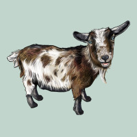 Nigerian Dwarf Goat Zipper Hoodie | Teevron