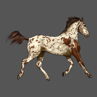 Appaloosa Horse Zipper Hoodie | Teevron