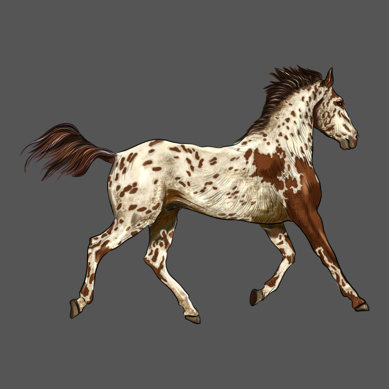 Appaloosa Horse Zipper Hoodie by LillyAllenDesigns | Teevron