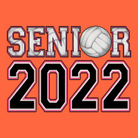 Senior Volleyball Premium Hoodie | Teevron