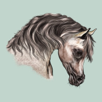 Arabian Horse Zipper Hoodie | Teevron