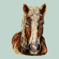Belgian Horse Zipper Hoodie | Teevron