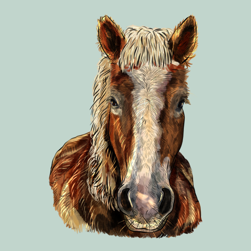 Belgian Horse Zipper Hoodie by LillyAllenDesigns | Teevron