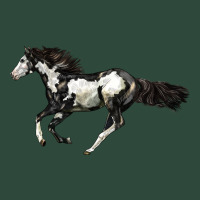 American Paint Horse Zipper Hoodie | Teevron