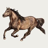 Missouri Fox Trotter Horse Zipper Hoodie | Teevron