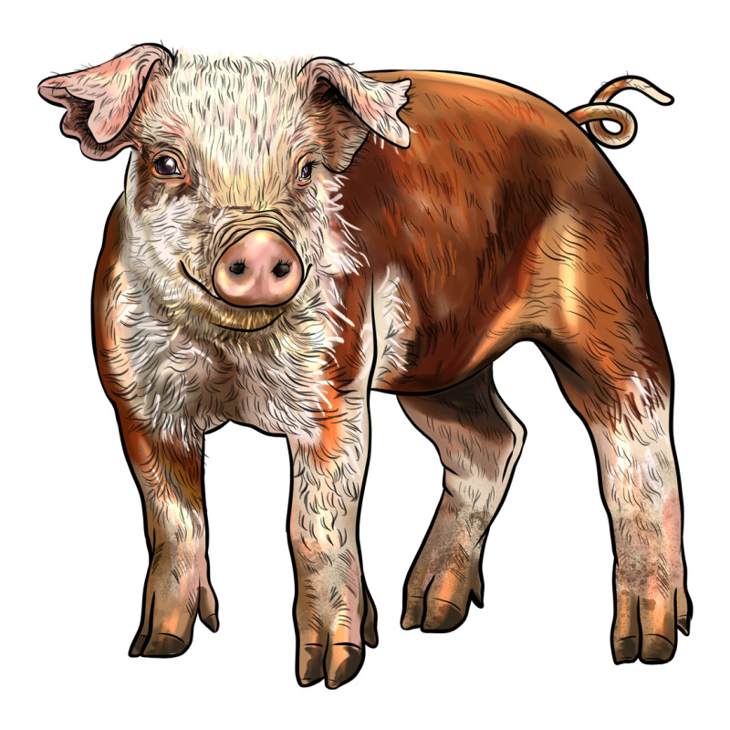 Baby Hereford Pig Zipper Hoodie by LillyAllenDesigns | Teevron