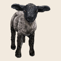 Suffolk Baby Sheep Zipper Hoodie | Teevron