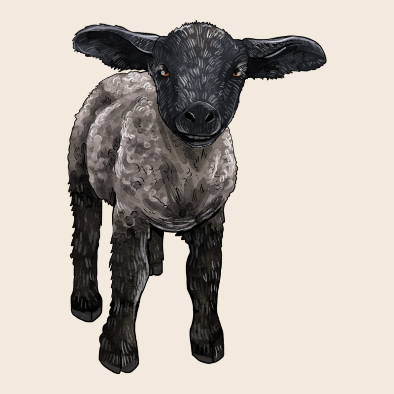 Suffolk Baby Sheep Zipper Hoodie by LillyAllenDesigns | Teevron
