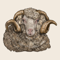 Merino Wool Sheep Head Zipper Hoodie | Teevron