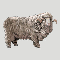 Rambouillet Sheep Zipper Hoodie | Teevron