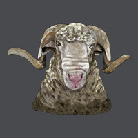 Rambouillet Sheep Head Zipper Hoodie | Teevron