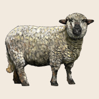 Hampshire Sheep Zipper Hoodie | Teevron