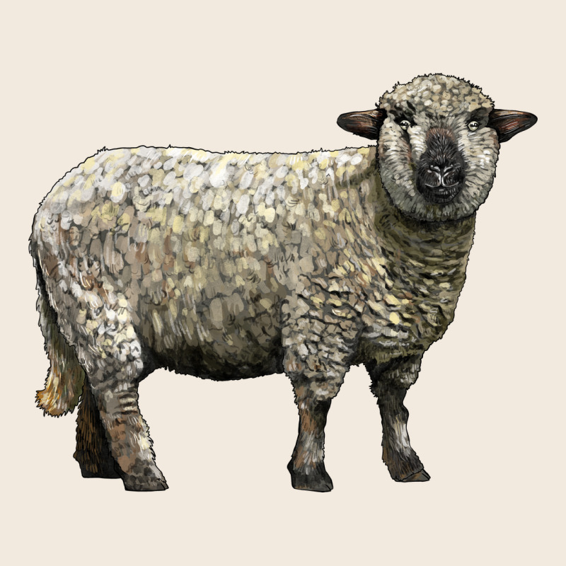 Hampshire Sheep Zipper Hoodie by LillyAllenDesigns | Teevron