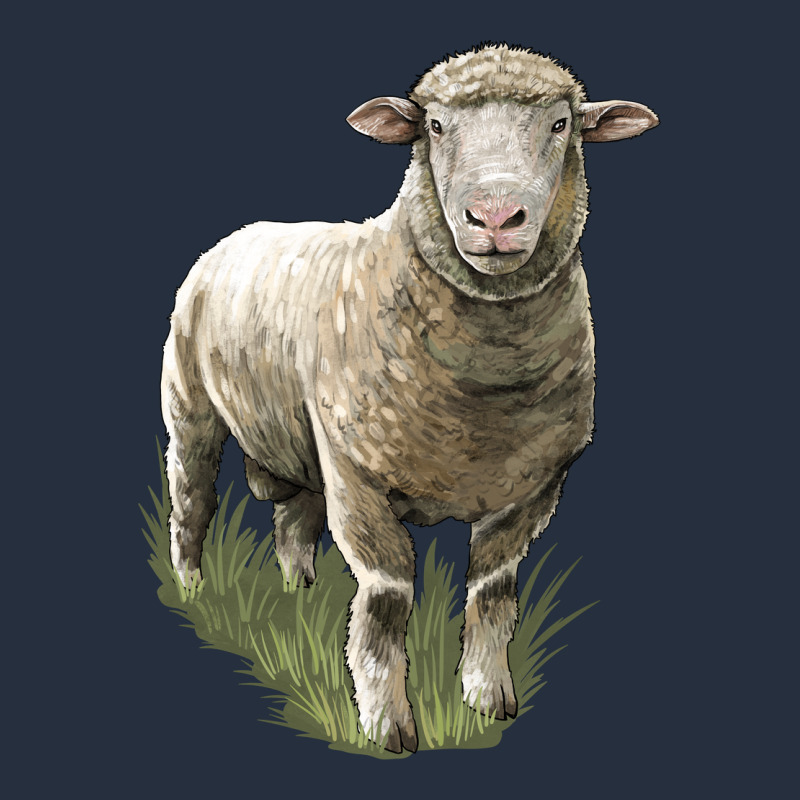Dorset Sheep Zipper Hoodie by LillyAllenDesigns | Teevron