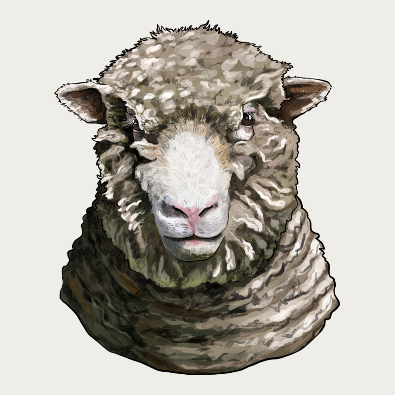Dorset Sheep Head Zipper Hoodie by LillyAllenDesigns | Teevron