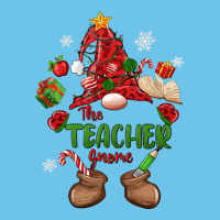 The Teacher Gnome Christmas Premium Sweatshirt | Teevron